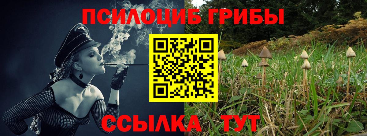 Галлюциногенные грибы Magic Shrooms  Вход с VPN  Менделеевск 